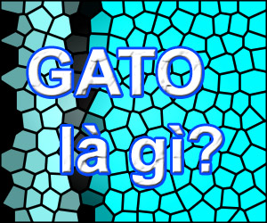 Từ GATO có ý nghĩa là gì?