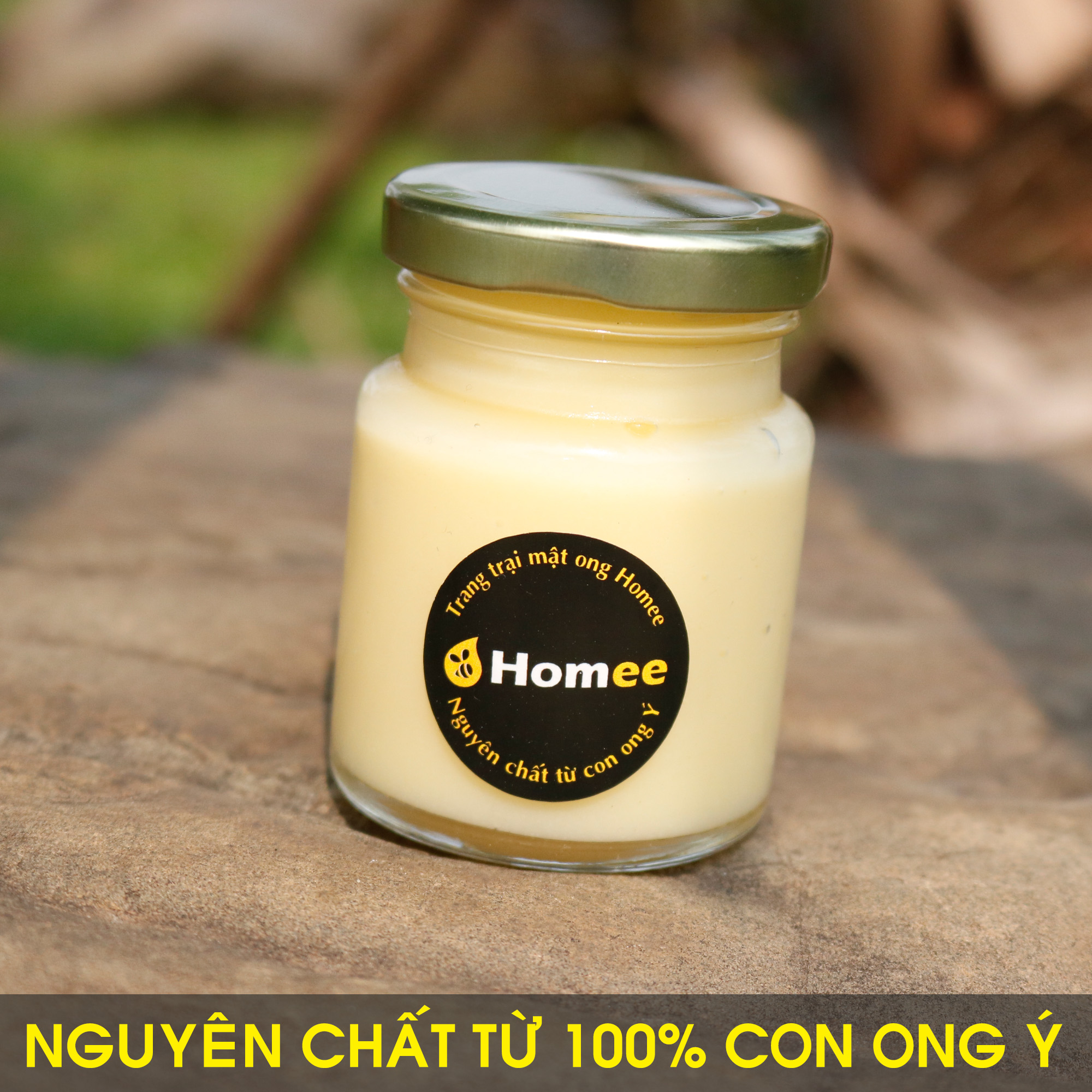 Bán sỉ sữa ong chúa trực tiếp từ trại ong sữa Lâm Đồng 3