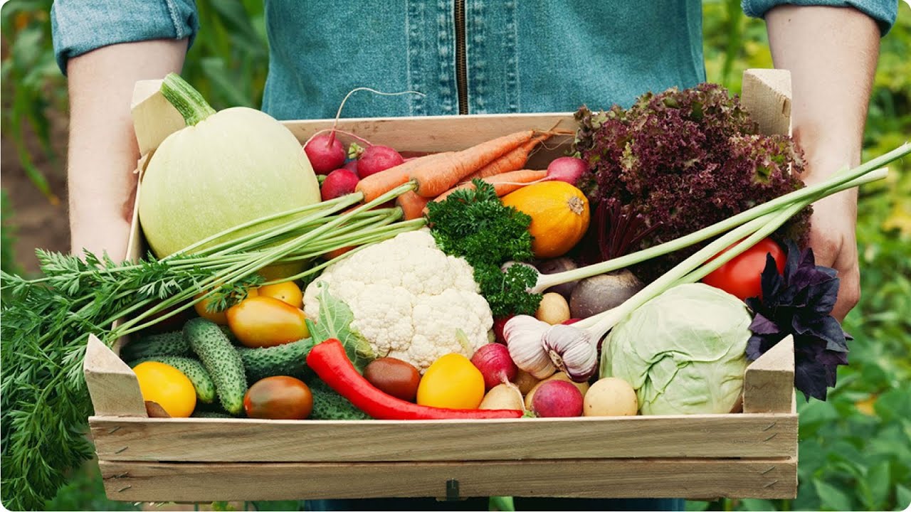 Organic là gì? Sự khác biệt giữa thực phẩm organic và thực phẩm thông thường