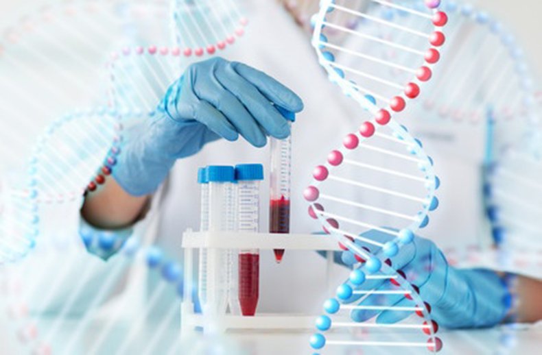 Xét nghiệm ADN hết bao nhiêu tiền?